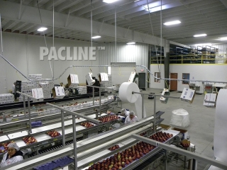 Empty carton delivery conveyor.