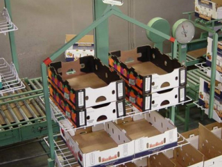Overhead monorail conveyor transports packing cartons on multi-level carrier for fruit packing operation.