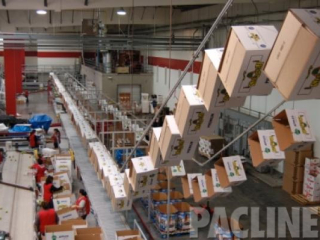 This apple packing house used the PAC-LINE enclosed track conveyor to deliver empty cartons to packers on the floor