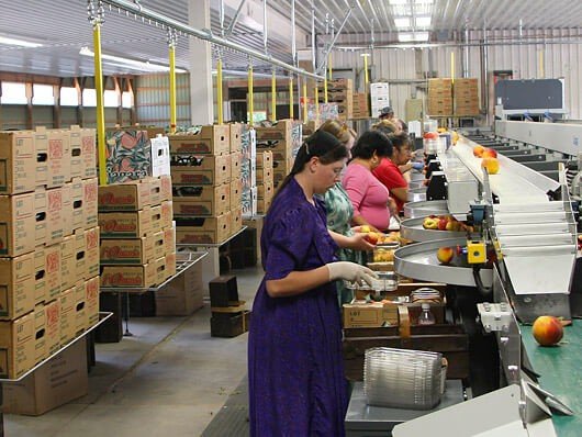 Automated carton delivery system for produce packing operations
