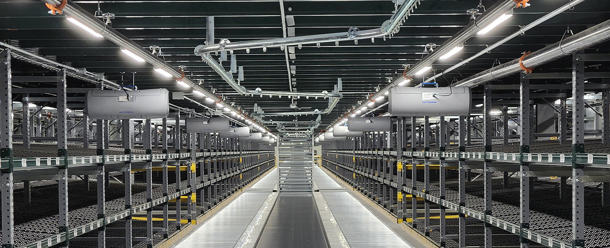 empty-carton-induction-in-pick-modules-using-overhead-conveyors Overhead conveyors for empty carton induction in pick modules