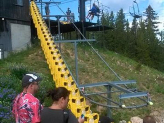 Patrons wait for alpine sleds being delivered by an overhead conveyor. The application accumulates and delivers.