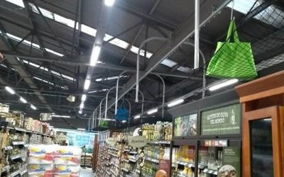 Grocery Store Conveyor
