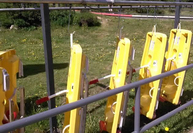 overhead conveyor transporting sleds
