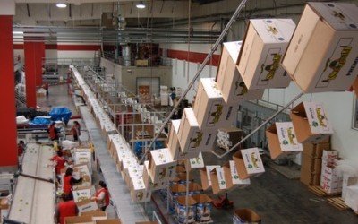 Conveyor System Frees up Floor Space for Produce Packing House
