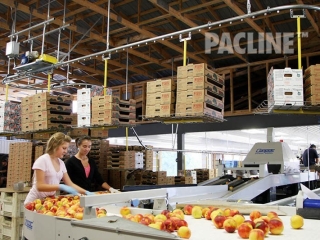 Overhead conveyor for delivery of empty cartons.