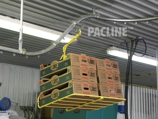 Boxes for packing peaches are transported by conveyor.