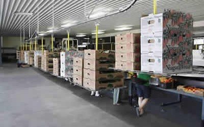 Overhead Conveyor Improves Carton Delivery