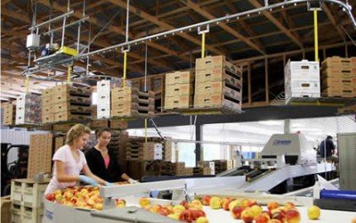 Overhead Carton Delivery System Improves Safety and Productivity