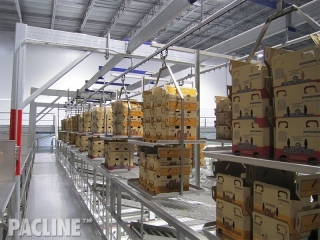 PAC-LINE™ enclosed track conveyor for produce packing operations.