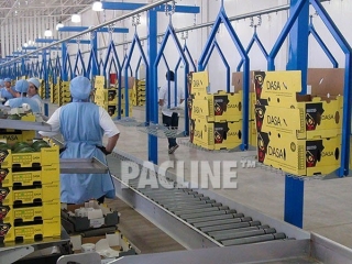 Stacked cartons for produce packing are moved by overhead conveyor.