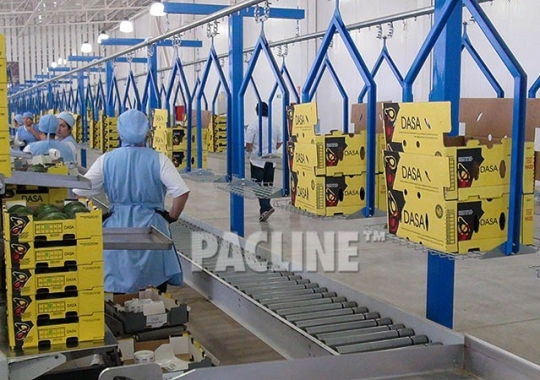 Stacked cartons for produce packing are moved by overhead conveyor.