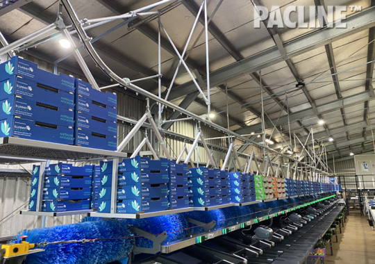 Produce Packing Overhead Conveyor Avocados