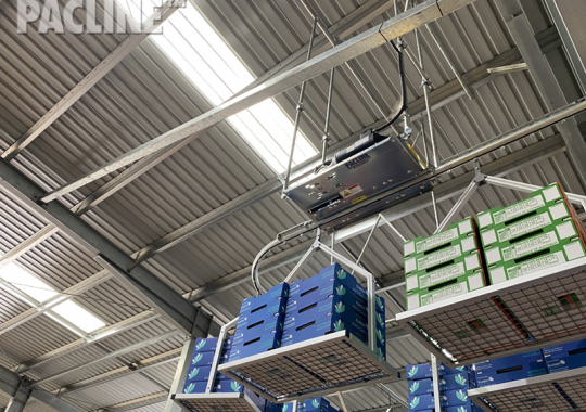 Avocados Produce Packing Overhead Conveyor