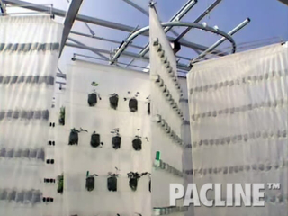 Greenhouse conveyor transports hanging bags growing leafy greens and strawberries in this indoor vertical growing facility.